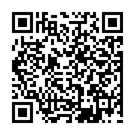 QR code for Q369705