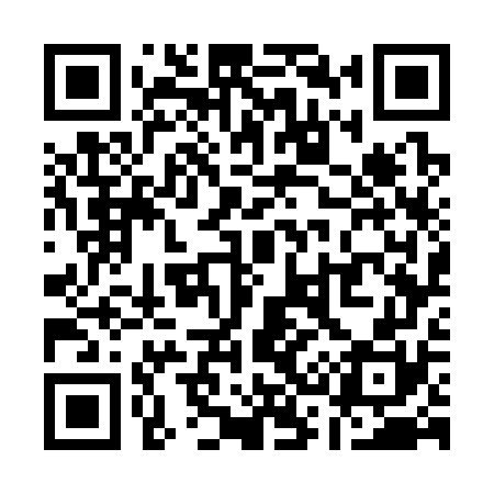 QR code for Q37370