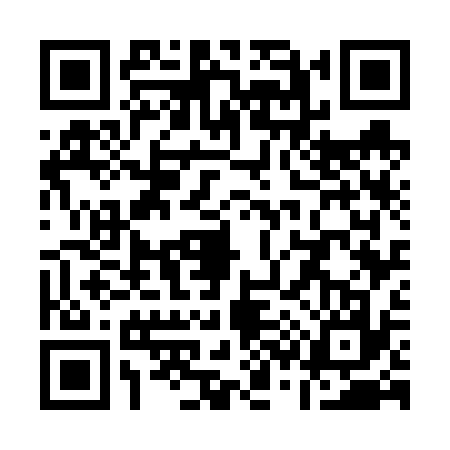 QR code for Q376379