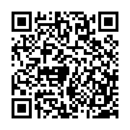 QR code for Q380560