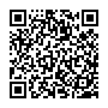 QR code for Q38401