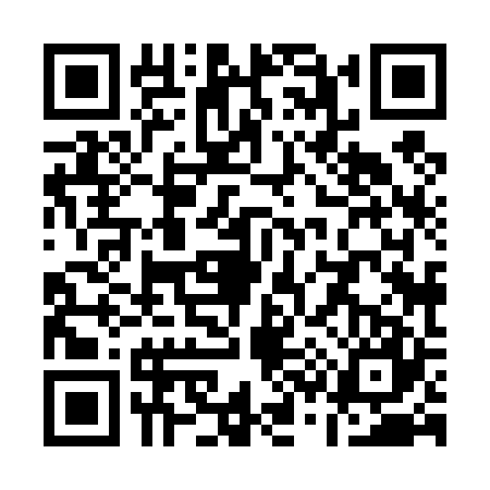 QR code for Q384276