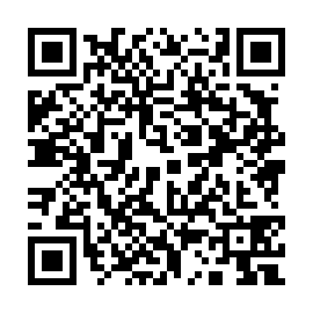 QR code for Q384382