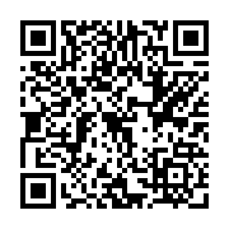 QR code for Q386233