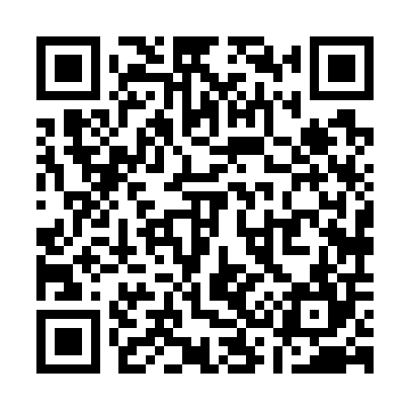 QR code for Q38704