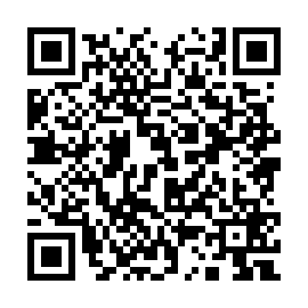 QR code for Q387699