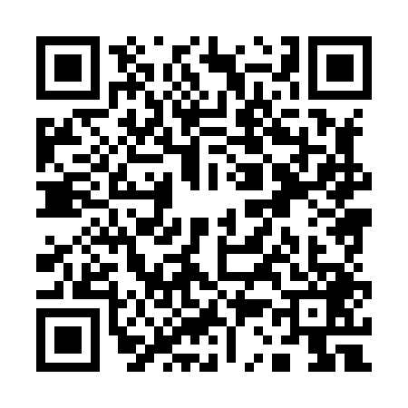 QR code for Q388491