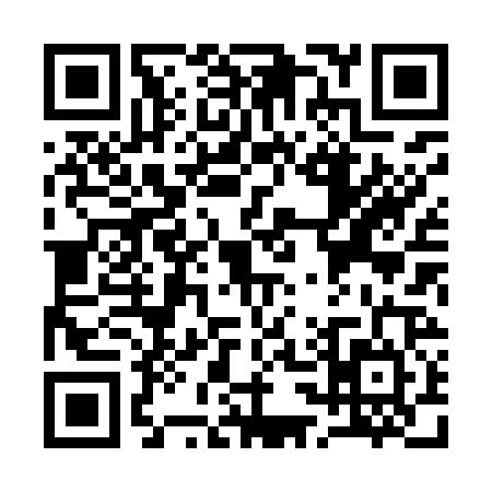 QR code for Q389244