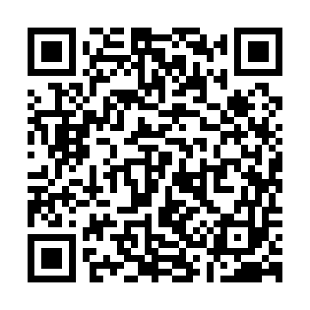 QR code for Q39153