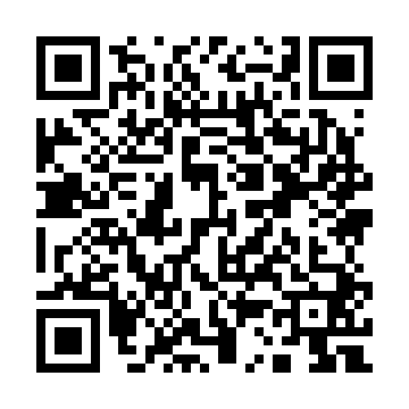 QR code for Q392405