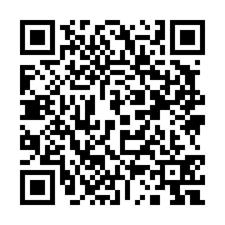 QR code for Q394316
