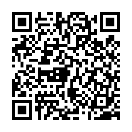 QR code for Q394738