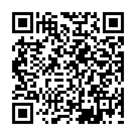 QR code for Q397455