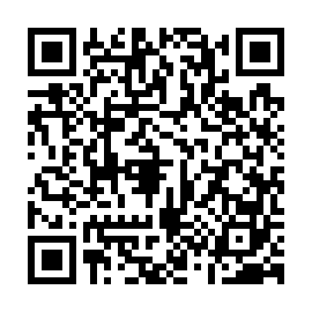 QR code for Q397628