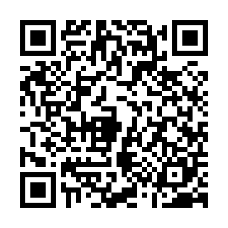 QR code for Q398053