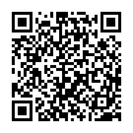 QR code for Q40163