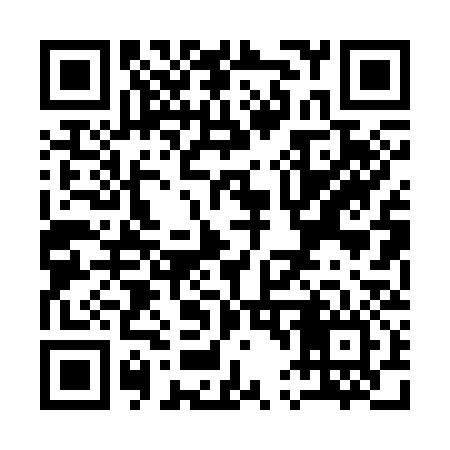 QR code for Q40336