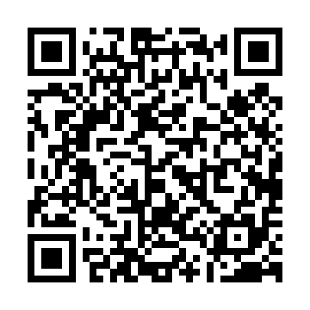QR code for Q40415