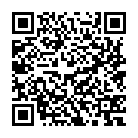 QR code for Q409347