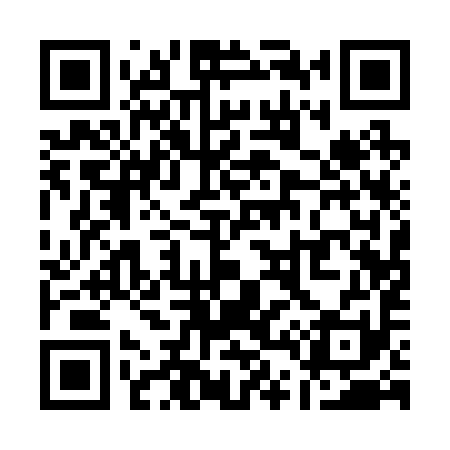 QR code for Q41291