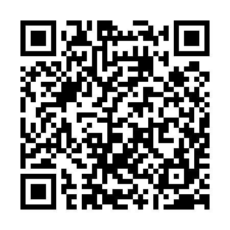 QR code for Q41594