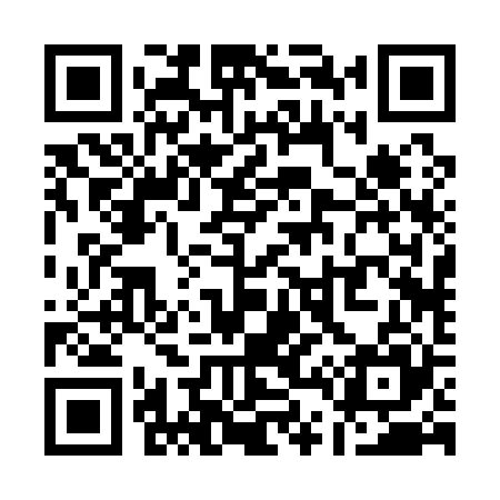 QR code for Q42125