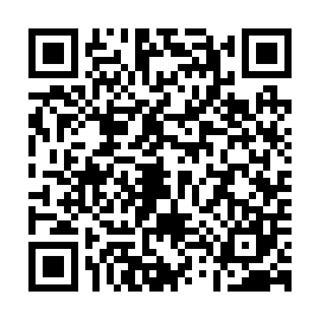 QR code for Q432078