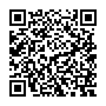 QR code for Q435401