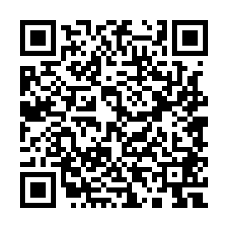 QR code for Q441485