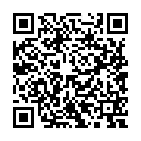 QR code for Q449613