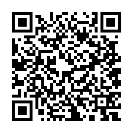 QR code for Q460729