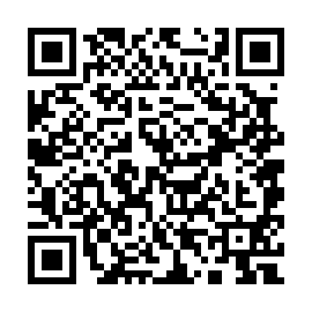 QR code for Q460906
