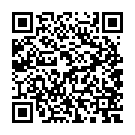 QR code for Q462439