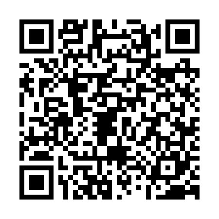 QR code for Q462655