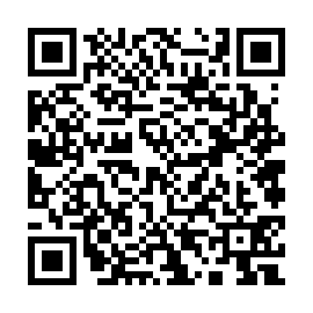 QR code for Q463317