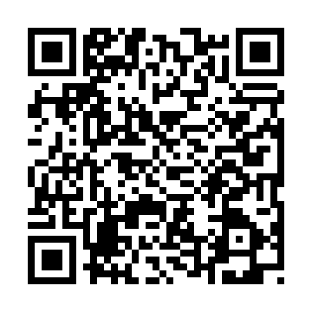 QR code for Q490078