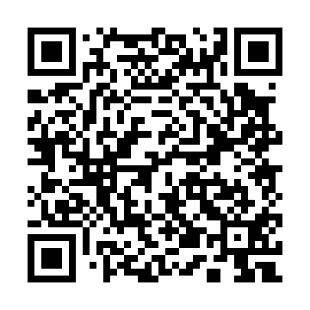 QR code for Q50011