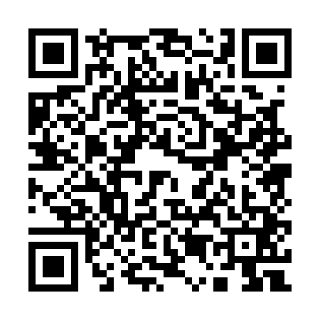 QR code for Q501418