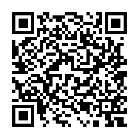 QR code for Q501517