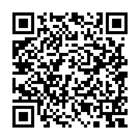 QR code for Q501913