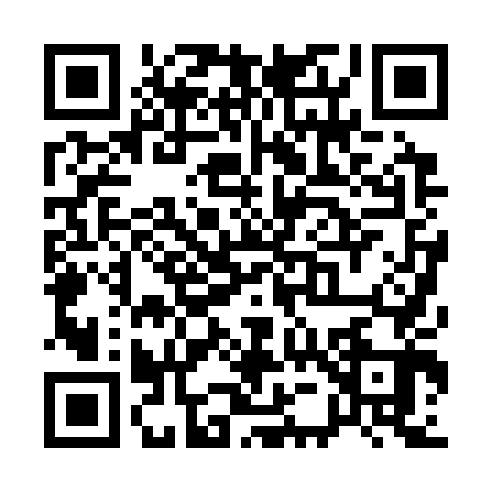 QR code for Q503430