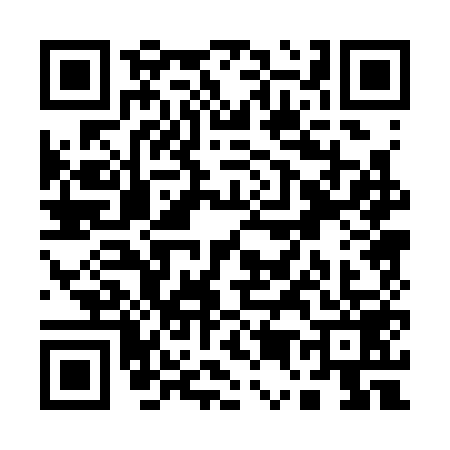 QR code for Q503590