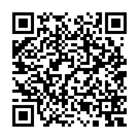 QR code for Q503693