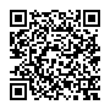 QR code for Q511328
