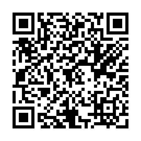 QR code for Q513487