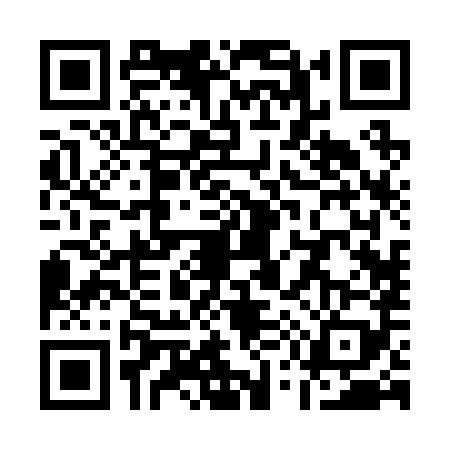 QR code for Q522896