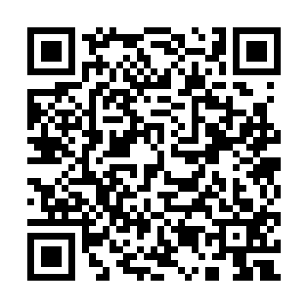 QR code for Q533130