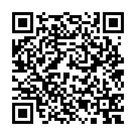 QR code for Q533357