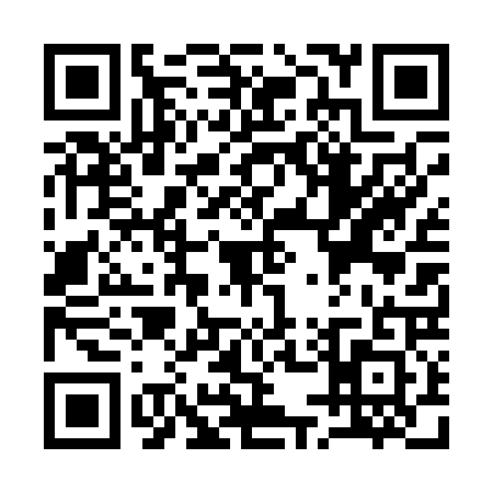 QR code for Q540213