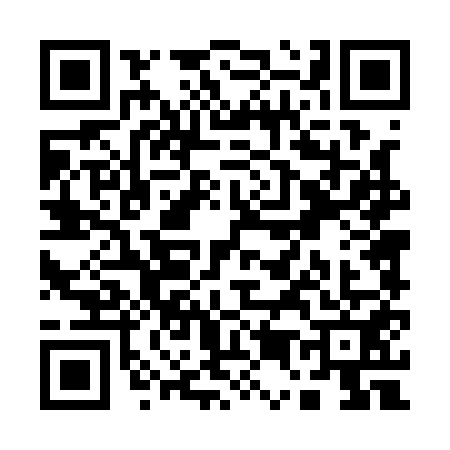 QR code for Q541511